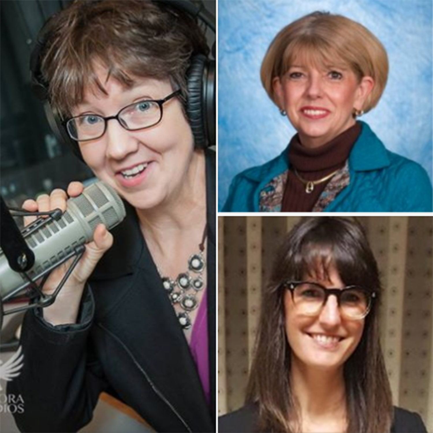 resize_pic-jo-garner-and-debbie-reeves-and-amy-schaftlein-10-22-16-composite-pic